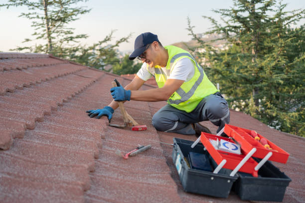 Best Metal Roofing Contractor  in Willits, CA