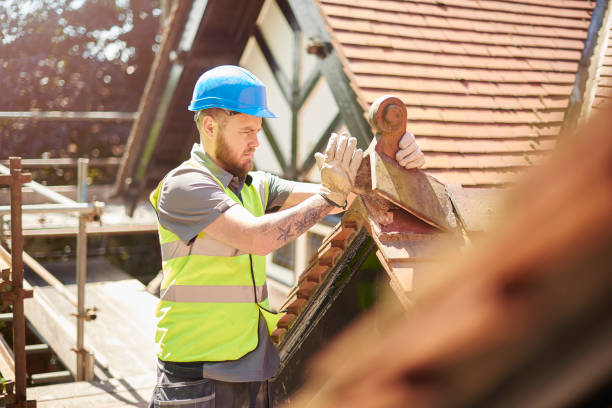 Best Roof Maintenance Services  in Willits, CA